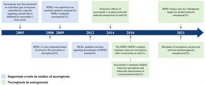 Necroptosis: A new target for prevention of osteoporosis